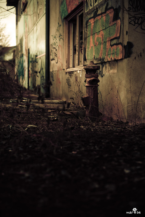DSC_3152-Modifier