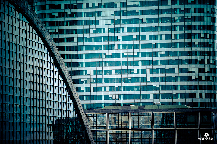 DSC_3929