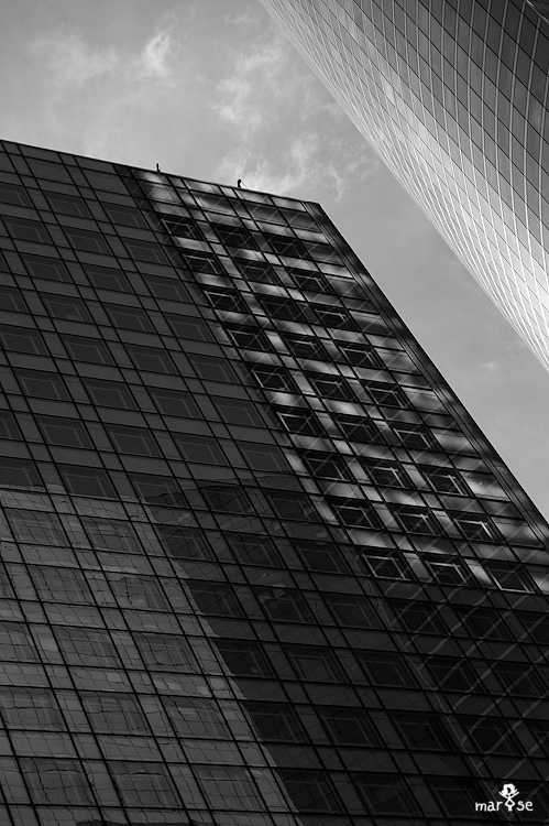 DSC_4011