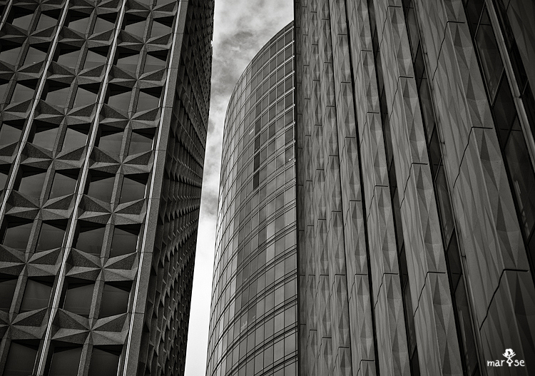 DSC_4144